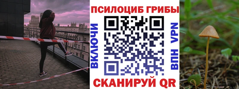 Галлюциногенные грибы Cubensis  Щучье 