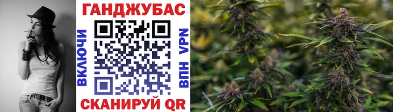 хочу наркоту  Щучье  Шишки марихуана планчик 